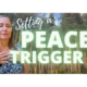 setting a peace trigger