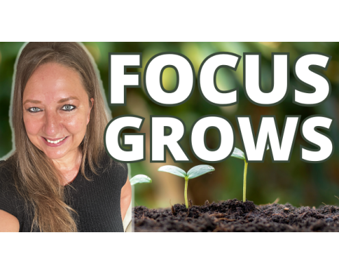 Where Your Focus Goes Grows. What are you Focusing On?